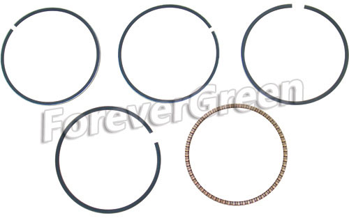 63012B Piston Ring 63.5